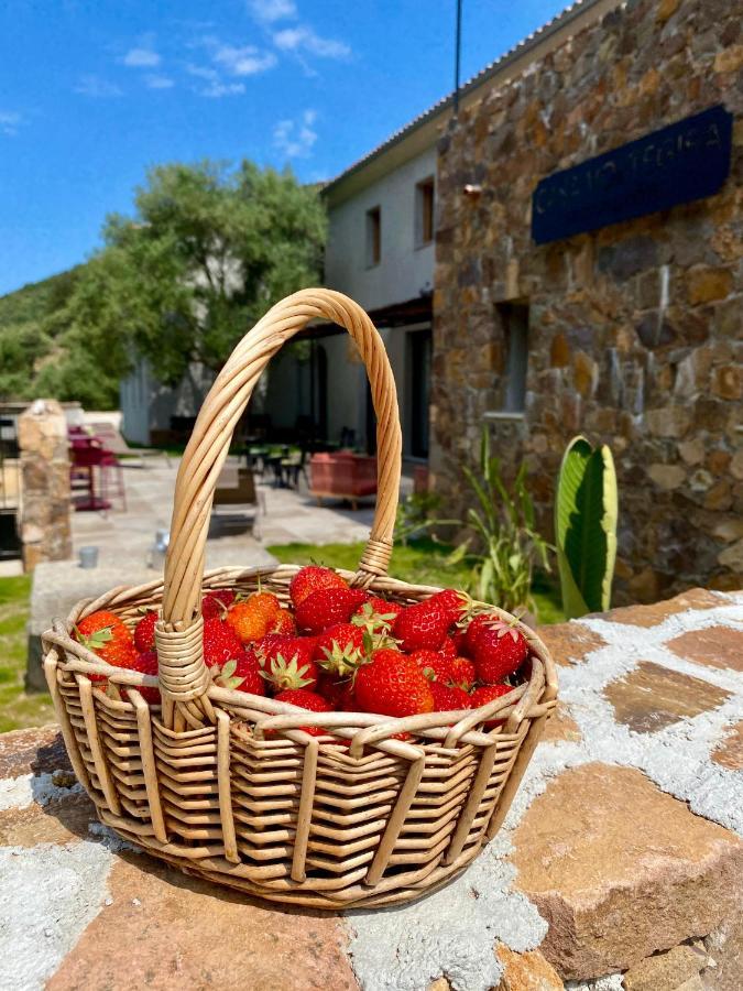 Bed & Breakfast Casa Voltegira Manso